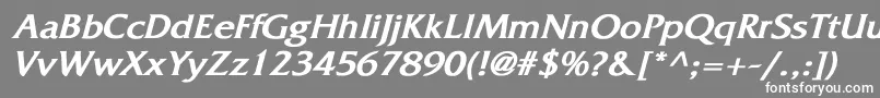 FritzquadrataBoldItalic Font – White Fonts on Gray Background