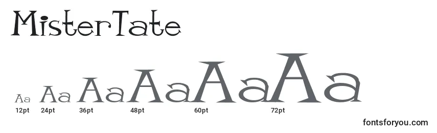 MisterTate Font Sizes