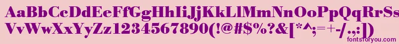 UrwbodonitBold Font – Purple Fonts on Pink Background