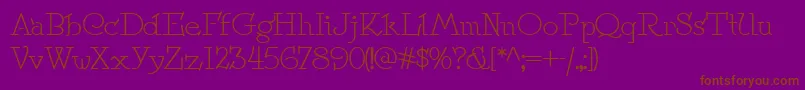 Speedball No 2 Nf Font – Brown Fonts on Purple Background