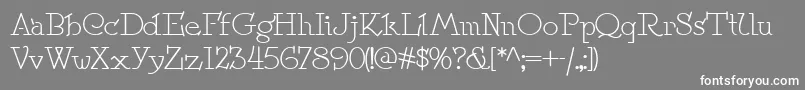 Speedball No 2 Nf Font – White Fonts on Gray Background