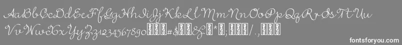 RufusscriptDemo-Schriftart – Weiße Schriften auf grauem Hintergrund