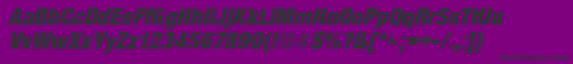 BasicSansHeavySfBoldItalic Font – Black Fonts on Purple Background