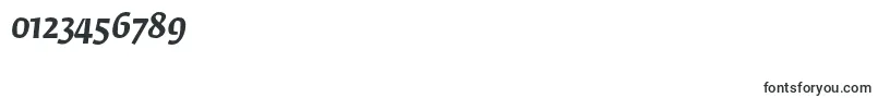 FedraserifaproMediumitalic Font – Fonts for Numbers and Digits
