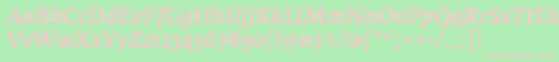 FedraserifaproMediumitalic Font – Pink Fonts on Green Background