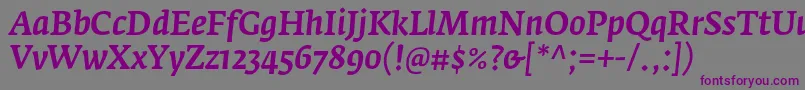 FedraserifaproMediumitalic Font – Purple Fonts on Gray Background
