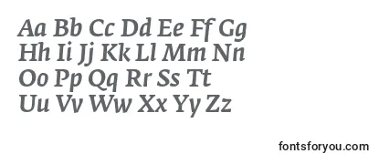 FedraserifaproMediumitalic-fontti