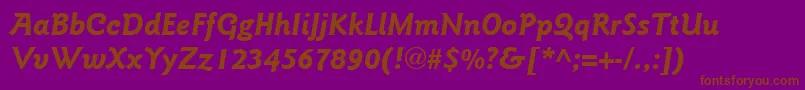 ItcGoudySansLtBoldItalic Font – Brown Fonts on Purple Background