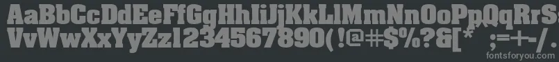 フォントAardvarkbold – 黒い背景に灰色の文字