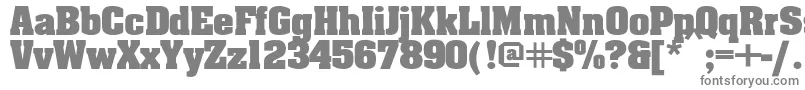 Aardvarkbold-Schriftart – Graue Schriften auf weißem Hintergrund