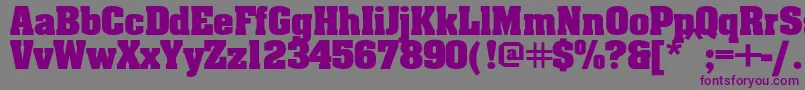 Czcionka Aardvarkbold – fioletowe czcionki na szarym tle