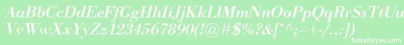 BodoniClassicoBolditalic Font – White Fonts on Green Background