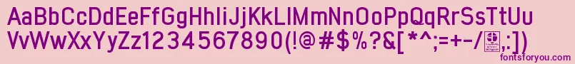 EarlyTimesBoldDemo Font – Purple Fonts on Pink Background