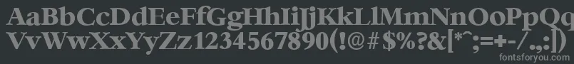 フォントBernsteinserialXboldRegular – 黒い背景に灰色の文字