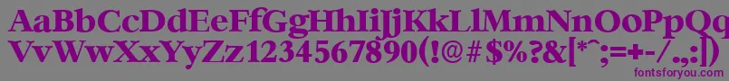 BernsteinserialXboldRegular Font – Purple Fonts on Gray Background