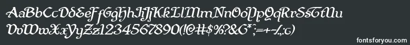 Quillswordexpandital Font – White Fonts on Black Background