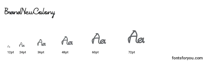 BrandNewColony Font Sizes