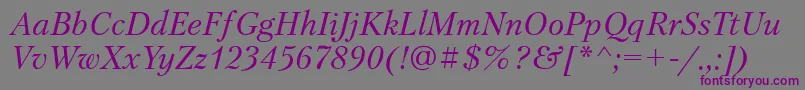 PetersburgtttItalic Font – Purple Fonts on Gray Background