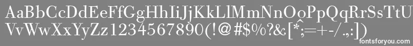 BodoolddbNormal Font – White Fonts on Gray Background