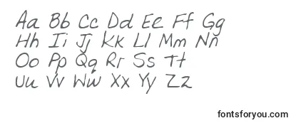OlgaRegular Font