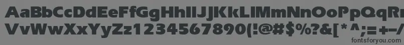 EriBlackNormal-Schriftart – Schwarze Schriften auf grauem Hintergrund