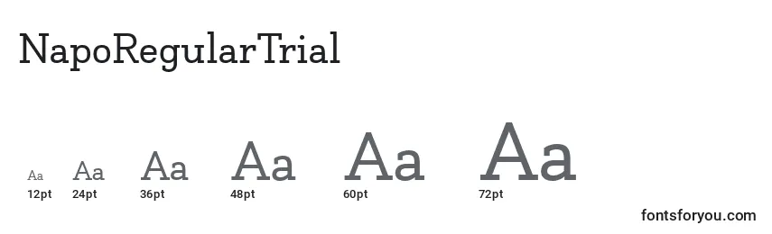 Размеры шрифта NapoRegularTrial