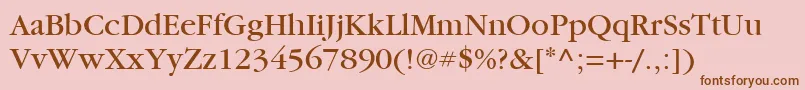 ItcGaramondLtBook Font – Brown Fonts on Pink Background