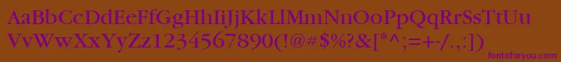 ItcGaramondLtBook Font – Purple Fonts on Brown Background