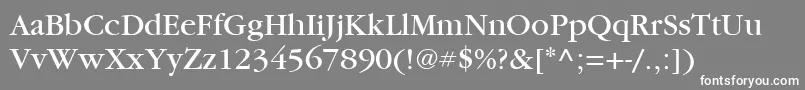 フォントItcGaramondLtBook – 灰色の背景に白い文字