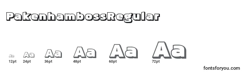 Размеры шрифта PakenhambossRegular
