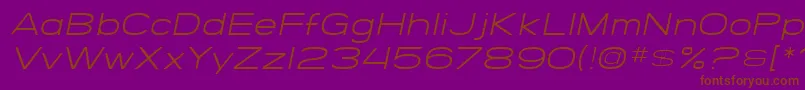 SfGrandezzaLightOblique Font – Brown Fonts on Purple Background