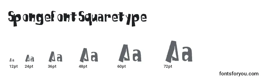 SpongefontSquaretype Font Sizes