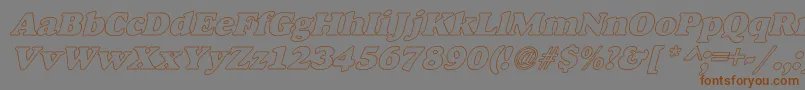 AlfredoHeavyHollowItalic Font – Brown Fonts on Gray Background
