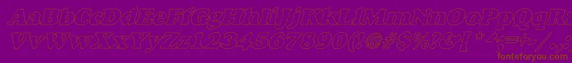 AlfredoHeavyHollowItalic Font – Brown Fonts on Purple Background
