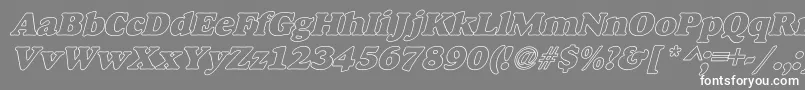 AlfredoHeavyHollowItalic Font – White Fonts on Gray Background