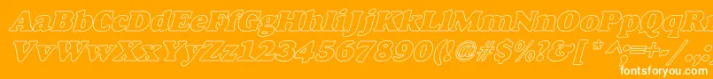 AlfredoHeavyHollowItalic Font – White Fonts on Orange Background