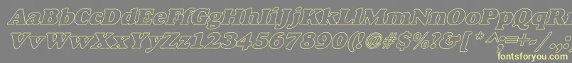 AlfredoHeavyHollowItalic Font – Yellow Fonts on Gray Background