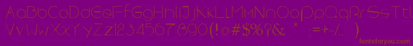 SpaceXrebron Font – Brown Fonts on Purple Background