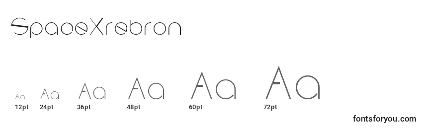SpaceXrebron Font Sizes
