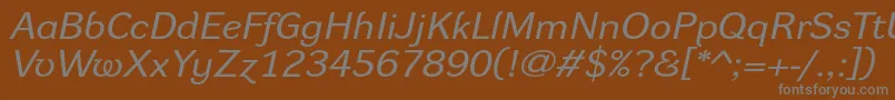 DynagroteskrxeItalic-Schriftart – Graue Schriften auf braunem Hintergrund