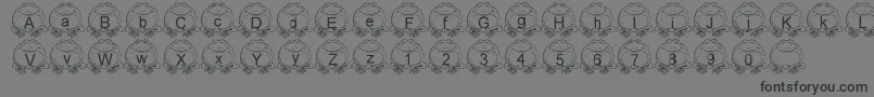 LmsPillToad Font – Black Fonts on Gray Background