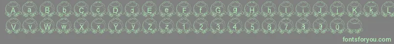 LmsPillToad Font – Green Fonts on Gray Background