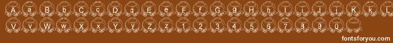 LmsPillToad Font – White Fonts on Brown Background