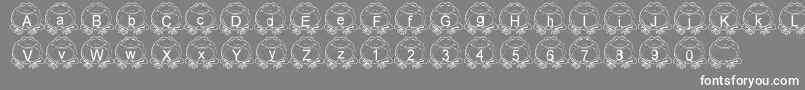 LmsPillToad Font – White Fonts on Gray Background