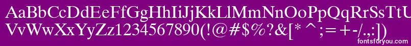 Dutch801CyrillicBt Font – White Fonts on Purple Background