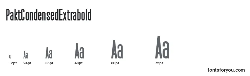 PaktCondensedExtrabold Font Sizes