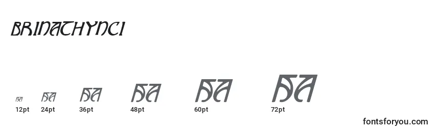 Размеры шрифта Brinathynci