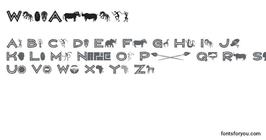 Schriftart WildAfrica – Alphabet, Zahlen, spezielle Symbole