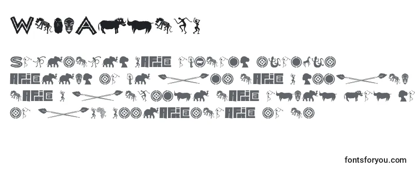 Review of the WildAfrica Font