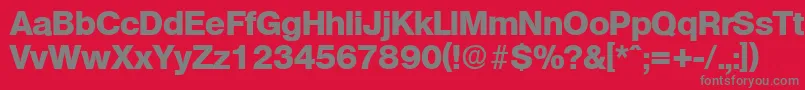 OlympiaExtrabold Font – Gray Fonts on Red Background